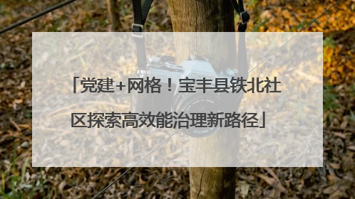 党建+网格！宝丰县铁北社区探索高效能治理新路径