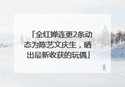 全红婵连更2条动态为陈艺文庆生，晒出最新收获的玩偶