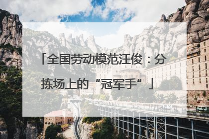 全国劳动模范汪俊：分拣场上的“冠军手”
