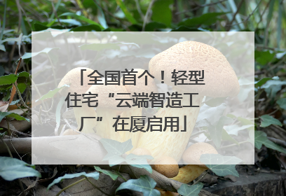 全国首个！轻型住宅“云端智造工厂”在厦启用