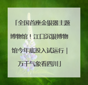 全国首座金银器主题博物馆！江口沉银博物馆今年底投入试运行｜万千气象看四川