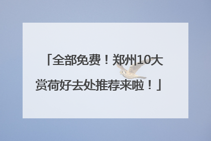 全部免费！郑州10大赏荷好去处推荐来啦！