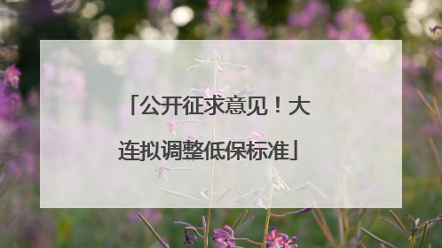公开征求意见！大连拟调整低保标准