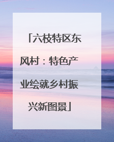 六枝特区东风村：特色产业绘就乡村振兴新图景