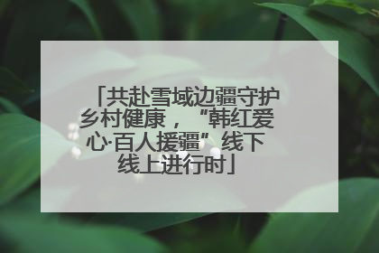 共赴雪域边疆守护乡村健康，“韩红爱心·百人援疆”线下线上进行时