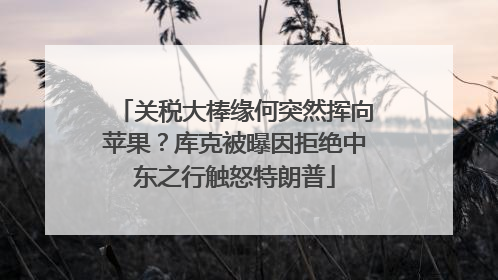 关税大棒缘何突然挥向苹果？库克被曝因拒绝中东之行触怒特朗普