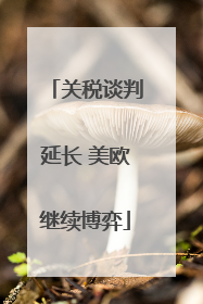 关税谈判延长 美欧继续博弈