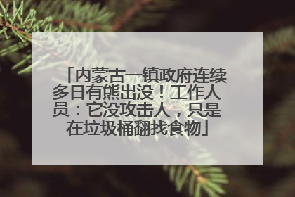 内蒙古一镇政府连续多日有熊出没！工作人员：它没攻击人，只是在垃圾桶翻找食物