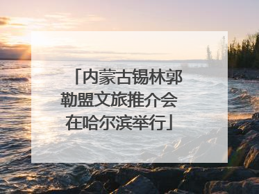 内蒙古锡林郭勒盟文旅推介会在哈尔滨举行