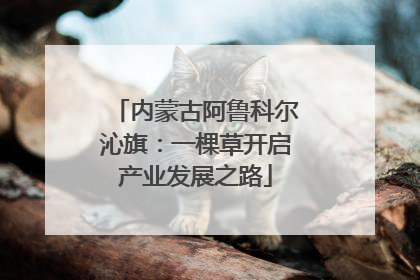 内蒙古阿鲁科尔沁旗：一棵草开启产业发展之路