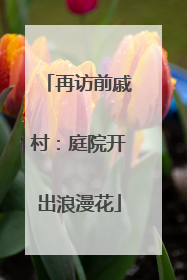 再访前戚村：庭院开出浪漫花