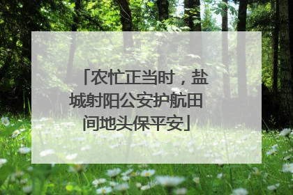农忙正当时，盐城射阳公安护航田间地头保平安