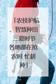 农技护航、智慧种田 三夏时节各地都在抢农时 忙耕种