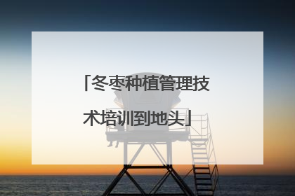 冬枣种植管理技术培训到地头