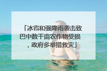 冰雹和强降雨袭击致巴中数千亩农作物受损，政府多举措救灾