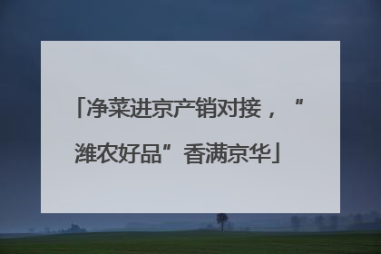 净菜进京产销对接，“潍农好品”香满京华
