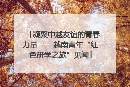 凝聚中越友谊的青春力量——越南青年“红色研学之旅”见闻