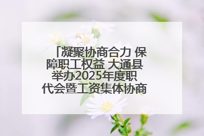 凝聚协商合力 保障职工权益 大通县举办2025年度职代会暨工资集体协商现场观摩交流活动