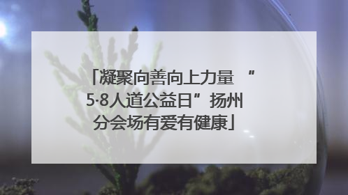凝聚向善向上力量 “5·8人道公益日”扬州分会场有爱有健康