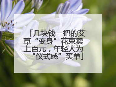 几块钱一把的艾草“变身”花束卖上百元，年轻人为“仪式感”买单