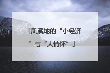 凤溪地的“小经济”与“大情怀”