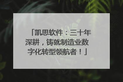凯思软件：三十年深耕，铸就制造业数字化转型领航者！