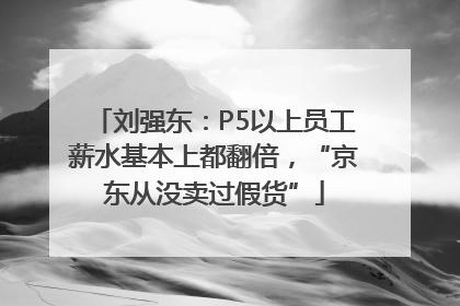 刘强东：P5以上员工薪水基本上都翻倍，“京东从没卖过假货”