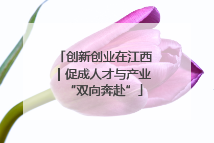 创新创业在江西｜促成人才与产业“双向奔赴”