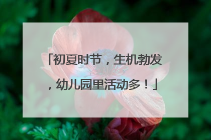 初夏时节，生机勃发，幼儿园里活动多！