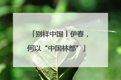 别样中国丨伊春，何以“中国林都”