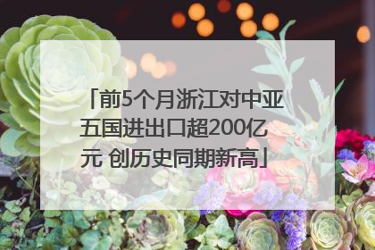 前5个月浙江对中亚五国进出口超200亿元 创历史同期新高