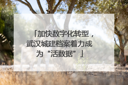 加快数字化转型，武汉城建档案着力成为“活数据”