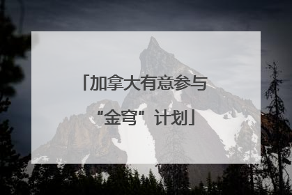 加拿大有意参与“金穹”计划