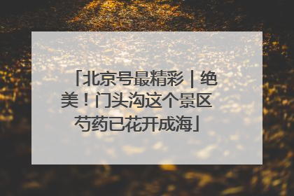 北京号最精彩｜绝美！门头沟这个景区芍药已花开成海