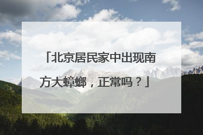 北京居民家中出现南方大蟑螂，正常吗？