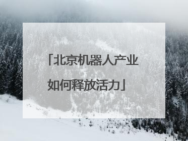 北京机器人产业如何释放活力