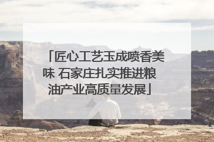 匠心工艺玉成喷香美味 石家庄扎实推进粮油产业高质量发展