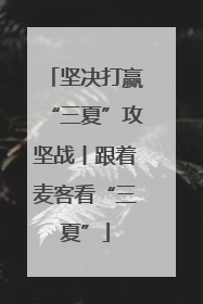 坚决打赢“三夏”攻坚战丨跟着麦客看“三夏”