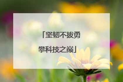 坚韧不拔勇攀科技之巅