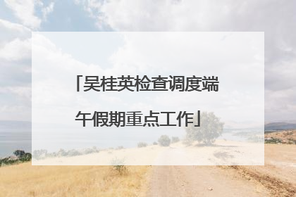 吴桂英检查调度端午假期重点工作