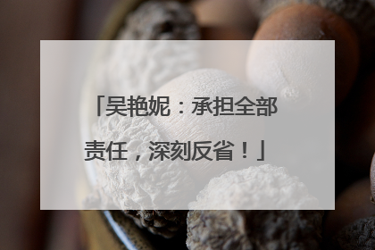 吴艳妮：承担全部责任，深刻反省！