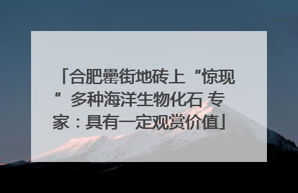 合肥罍街地砖上“惊现”多种海洋生物化石 专家：具有一定观赏价值