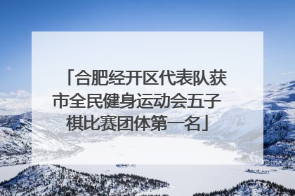 合肥经开区代表队获市全民健身运动会五子棋比赛团体第一名