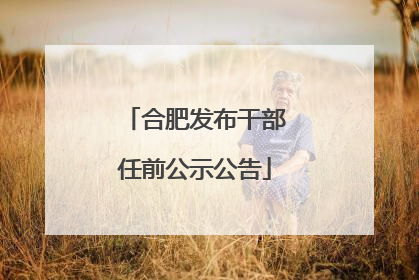 合肥发布干部任前公示公告