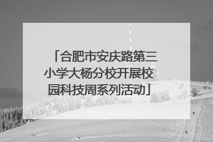 合肥市安庆路第三小学大杨分校开展校园科技周系列活动