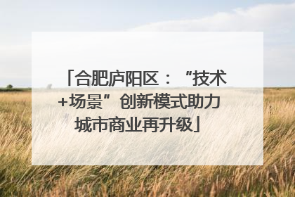 合肥庐阳区：“技术+场景”创新模式助力城市商业再升级