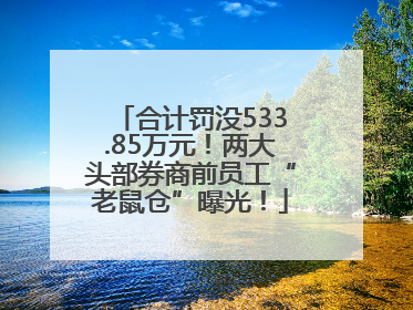 合计罚没533.85万元！两大头部券商前员工“老鼠仓”曝光！