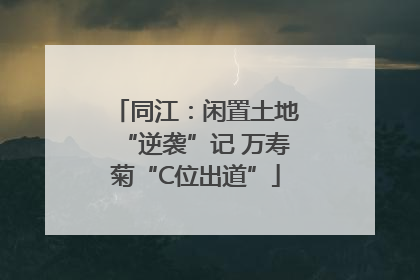 同江：闲置土地“逆袭”记 万寿菊“C位出道”