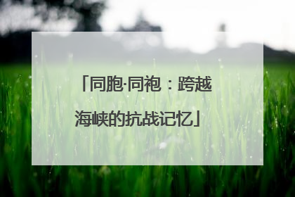 同胞·同袍：跨越海峡的抗战记忆