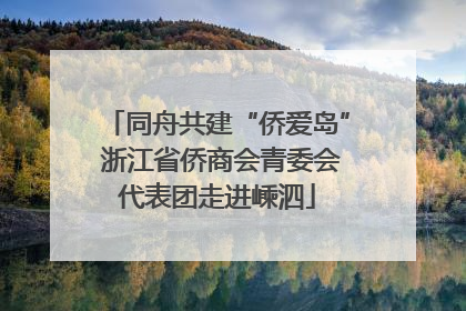 同舟共建“侨爱岛” 浙江省侨商会青委会代表团走进嵊泗